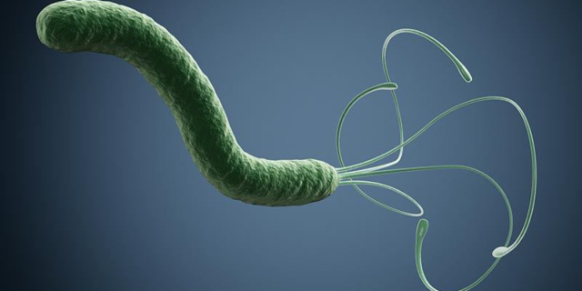 Test per la presenza di Helicobacter Pylori